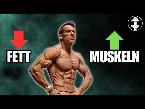 Die Wahrheit über Lean Bulk, Maingaining und Co