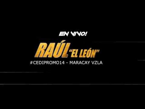 RAÚL "EL LEÓN" -  CEDIPROMO14 MARACAY LIVE SHOW