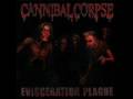 Cannibal Corpse - Carrion Sculpted Entity