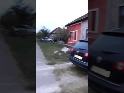 💎  SĂCĂLAZ 2019