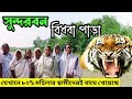 সুন্দরবন বিধবা পাড়া বিধবা গ্রাম বাঘ �