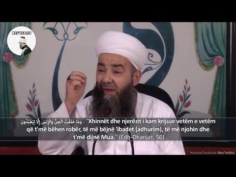 Xhybbeli Ahmet Hoxha - "Përse jemi krijuar?"