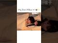 My Best Pillow Korean Music Phonk Beats Audio Sleepy Sleep Korean Kdrama