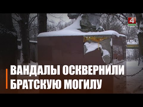 Чечерские подростки топорами осквернили братскую могилу видео