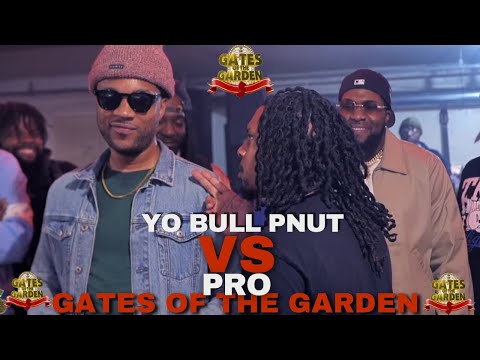 Yo Bull Pnut vs Pro