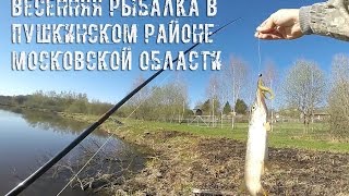 Река серебрянка в пушкино рыбалка