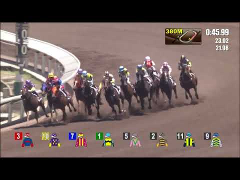 10/7/2022 (808) Moeraki - L Currie