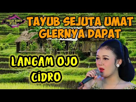TAYUB TERBARU OJO CIDRO