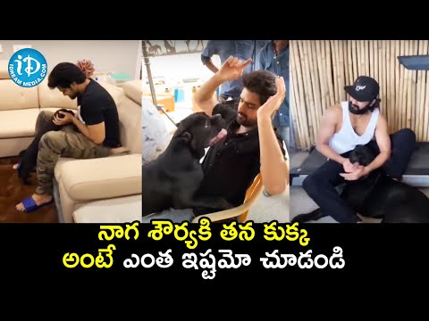 Actor Naga Shourya Playing With His Pet Dog Boo! | Naga Shourya | iDream Filmnagar