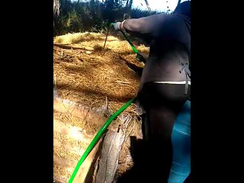 https://youtu.be/btWxyXZqtpE