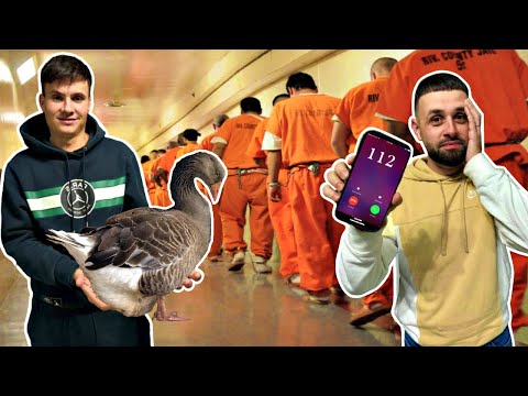 😂 Farse pe OLX 2024 😂 *Gâstele care păzesc puscăria*