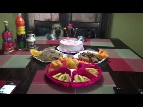 Mixcee BIRTHDAY Celebration