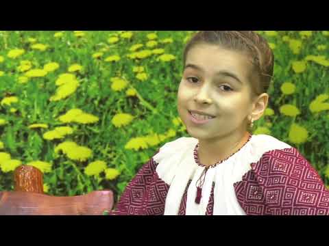 Alexandra Sofei   Neica plaiul tau gorjean