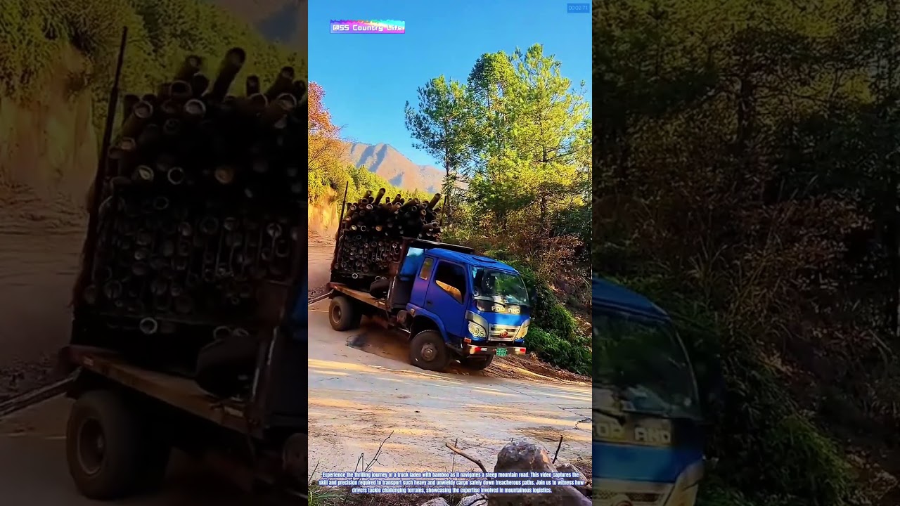 Navigating the Mountains: The Descent of a Bamboo-Laden Truck