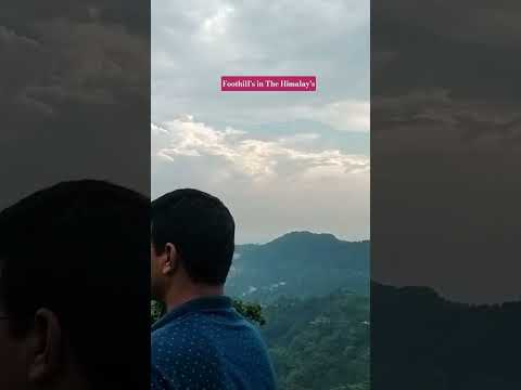 My connection with nature brings a quiet harmony to my soul, #youtubeshorts #nature #naturelovers