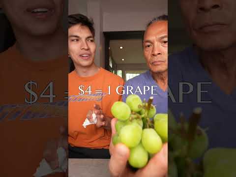 the world's most expensive grapes...🍇