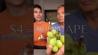 Download lagu Anggur termahal di dunia...🍇 mp3