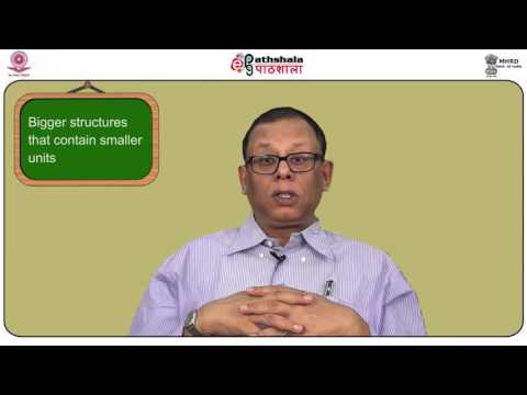 Lings P9 M1 The nature of meaning