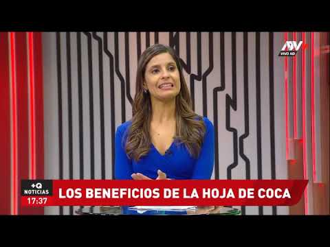 "The Benefits of Coca Leaf." Nutritionist Katherine Cántaro. ATV+