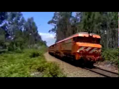 CP Carga 1905 Internacional 53313 Linha Minho