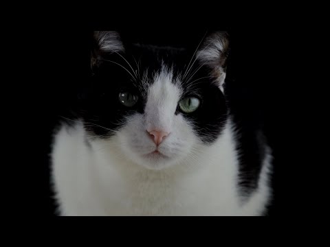 Classical Jesus. Depeche Mode #mashup