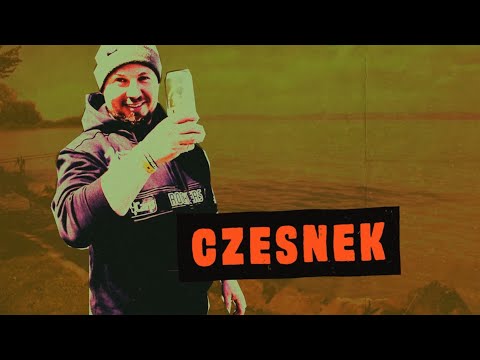 Náhled pro video reference