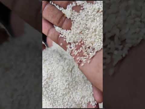 100 broken raw rice