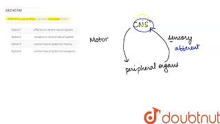 Afferent nerve fibre carries impulses from | 11 | NEURAL CONTROL AND COORDINATION | BIOLOGY | NC...