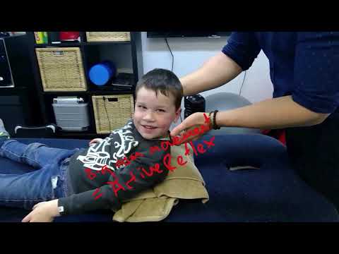 Retained Primitive Reflexes - Flight/ Fight