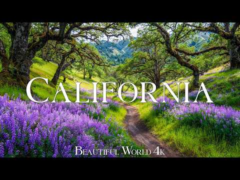 California 4K | Fairytale Spring Forests, Colorful Wildflowers & Scenic Nature Walks