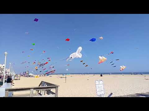 Americana Hotel OCMD Kites