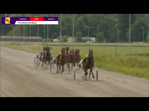 Draf en Renbaan Duindigt 18-07-2025