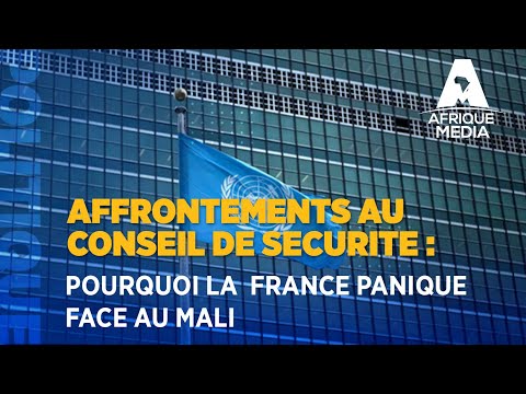 AFFRONTEMENTS AU CONSEIL DE SECURITE DE L'ONU : POURQUOI LA  FRANCE PANIQUE FACE AU MALI