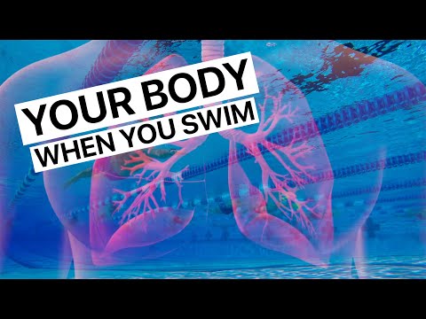 What Happens To Your Body When You Swim?