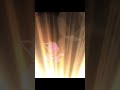 Pinkfong Logo Effects MOST POPULAR Shorts