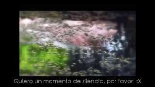 Cancion Cruel - Letra