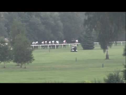 KV, 24. 7. 2016, 5. dostih - 71. OAKS HOLDINGU RABBIT CZ