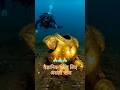 Under Water Dwarikanagri Krishna Dwarkadhish Dwarika Vrindavan Trending Shorts Status