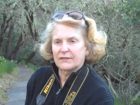 Marde Ross Daffodils Intro