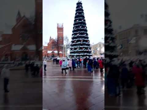 New year Belarus 2020