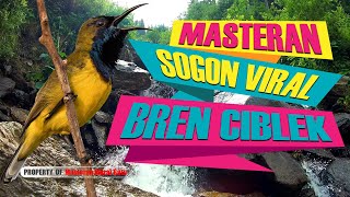 Download lagu MASTERAN SOGON VIRAL TEMBAKAN BREN CIBLEK GUNUNG mp3