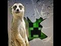 Let S Play LIF I M A Meerkat 1