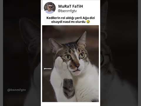 Kediler yerli dizi cekselerdi...