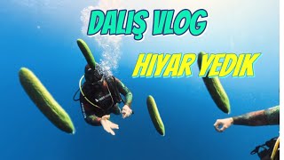 Salatalık Yedik Dalış Vlog