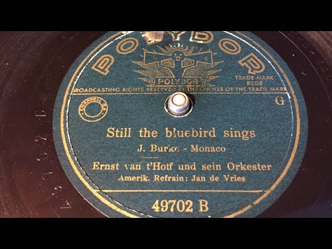 Ernst van t’Hoff - Jan de Vries - Still The Bluebird Sings - 78 rpm - Polydor 49702