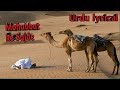 Mohabbat Ke Sajde With Urdu Lyrics Heart Touching