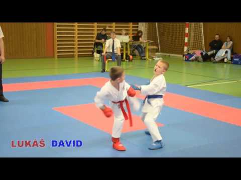 Převálcují 8letá dvojčata nejlepší karatisty světa v Irsku?