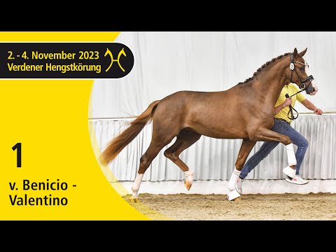 Verden Stallion Licensing 2023 - Dressage - Nov. 2-4 - No. 1 Stallion by Benicio - Valentino