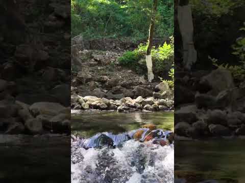 NACIMIENTO RIO LAGARTO, NENTÓN, HUEHUETENANGO #travel #aventura #guatemala #viralvideo