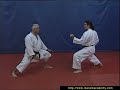 Bunkai Jitte Par Jean Pierre Lavorato